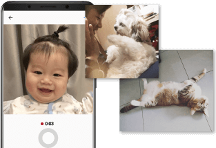 Screenshot of a baby being recorded, a dog and its owner, and a cat on its back with its paws in the air